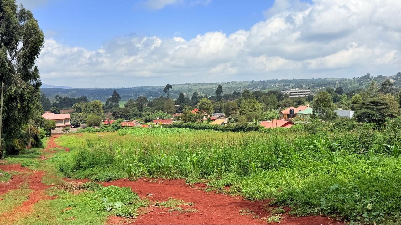 The green hillside site before clearing